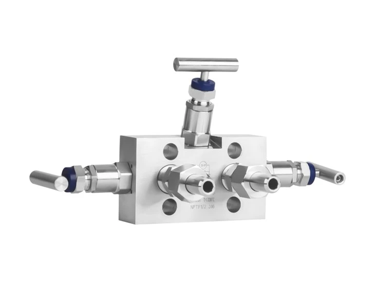 FZ30 Manifold
